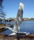 Alumium plane_tiny